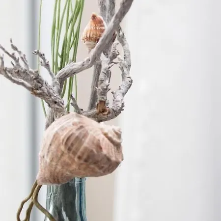 Klein Amsterdam מלון