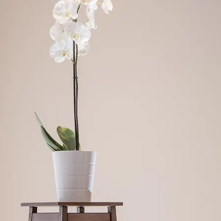 מלון Klein Amsterdam