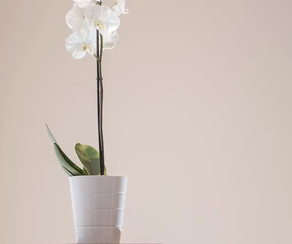 Hotel Klein Amsterdam